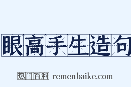 眼高手生造句是什么意思的图片